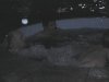 Around the pool
