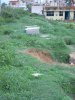 orphanage ground
