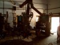 cotton seed press