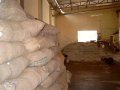 The cotton seed sacks and drying seeds